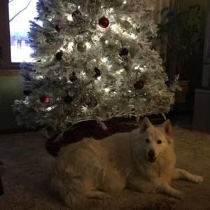 Meet your Posher, Darla j.